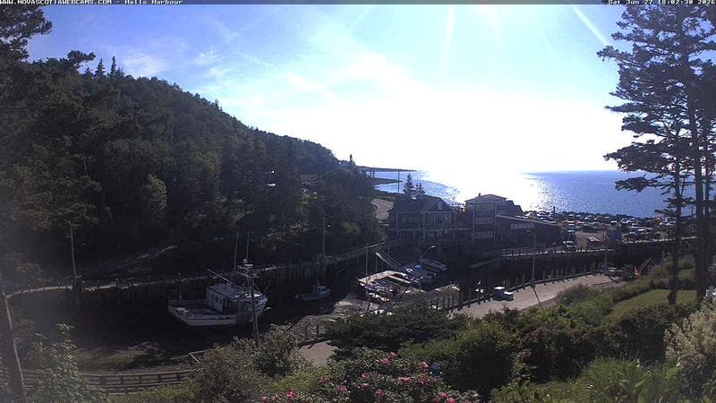 Hall's Harbour