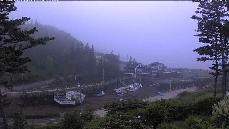 Hall's Harbour
