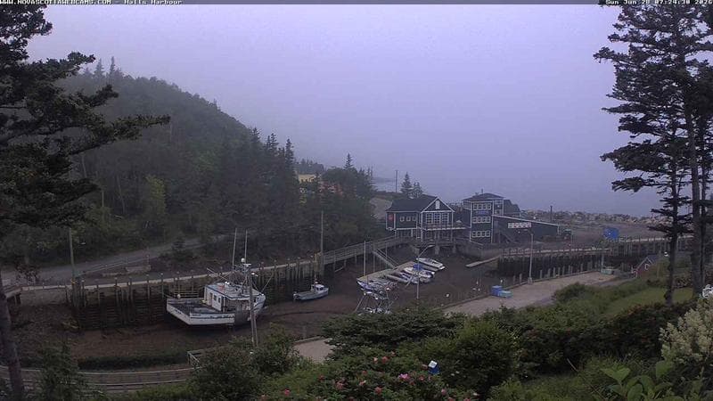 Hall's Harbour
