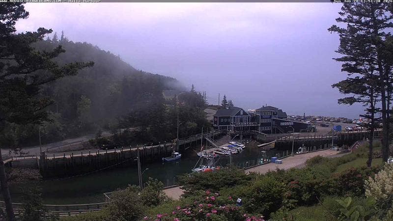 Hall's Harbour