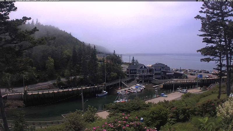 Hall's Harbour