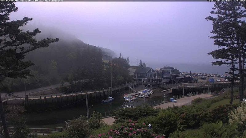 Hall's Harbour