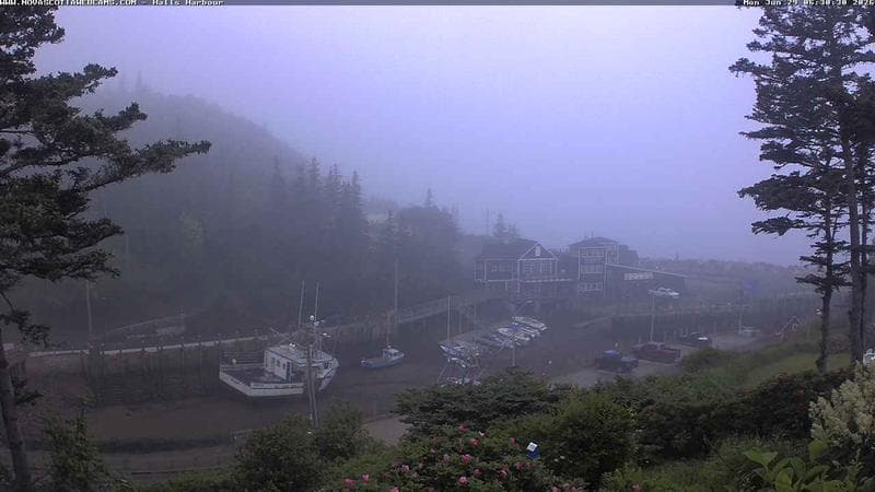 Hall's Harbour