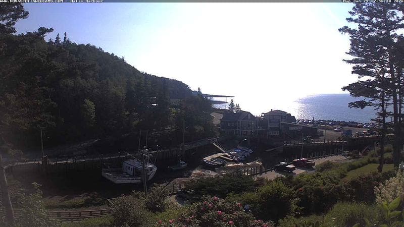 Hall's Harbour