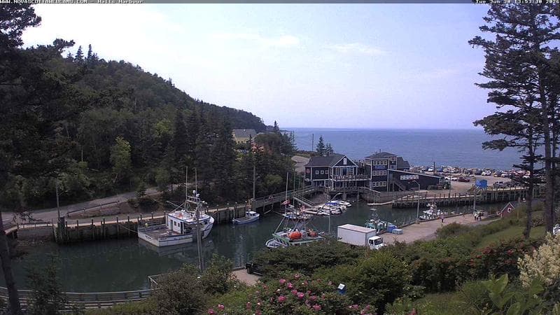 Hall's Harbour