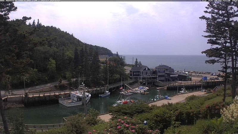 Hall's Harbour