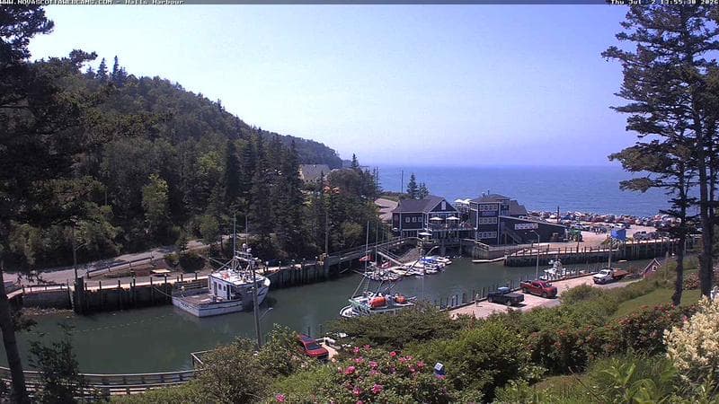 Hall's Harbour