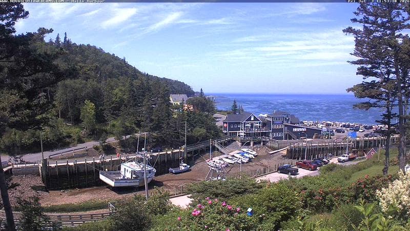 Hall's Harbour