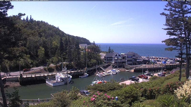 Hall's Harbour