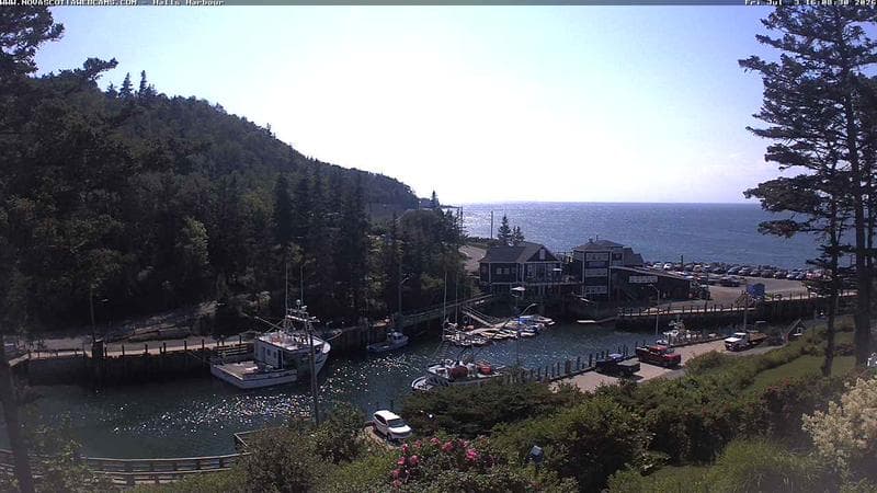 Hall's Harbour