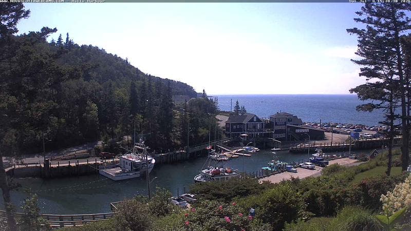 Hall's Harbour
