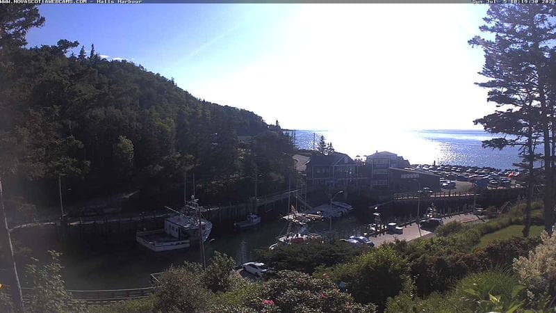 Hall's Harbour