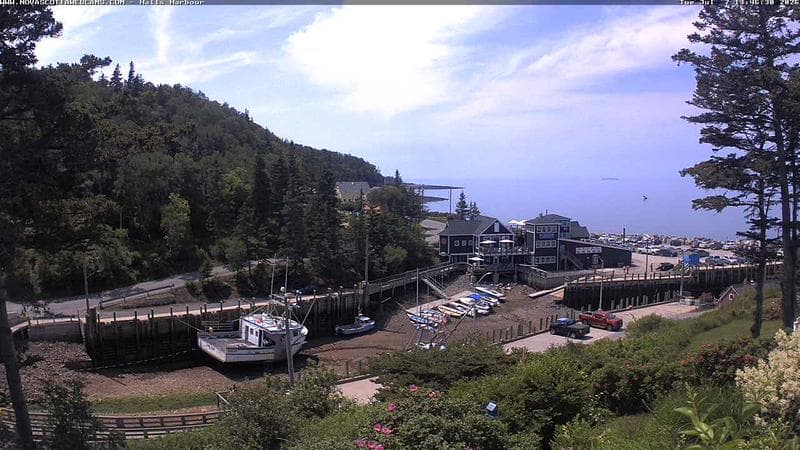 Hall's Harbour