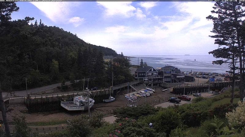 Hall's Harbour