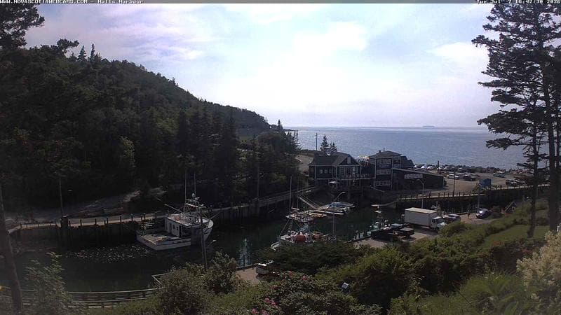 Hall's Harbour