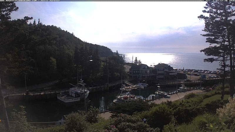 Hall's Harbour