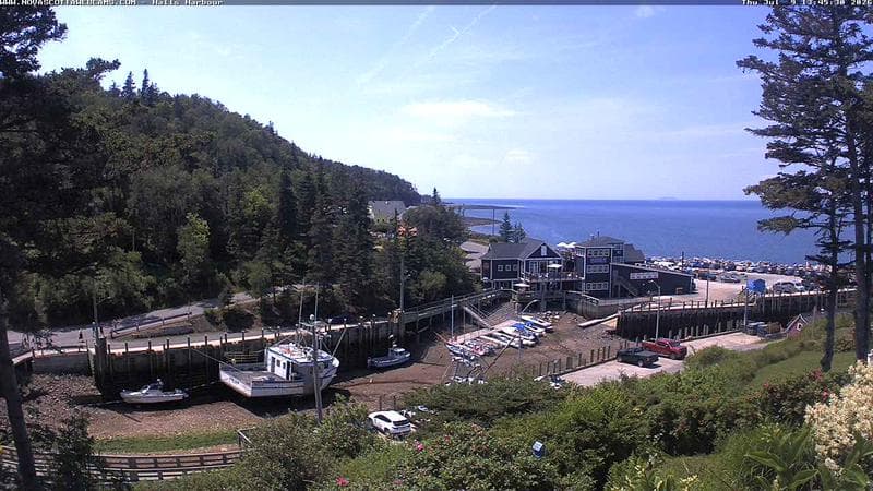Hall's Harbour