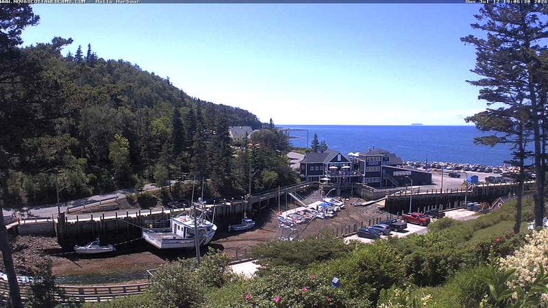 Hall's Harbour
