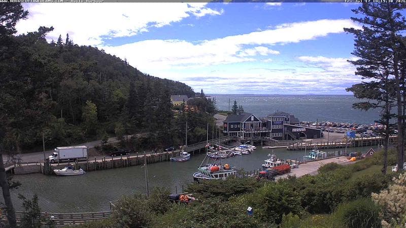 Hall's Harbour