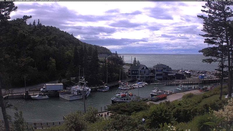 Hall's Harbour