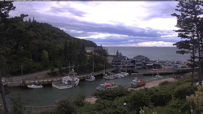 Hall's Harbour