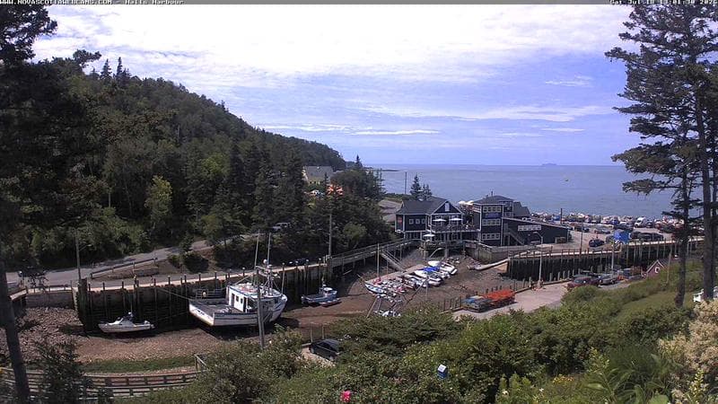 Hall's Harbour