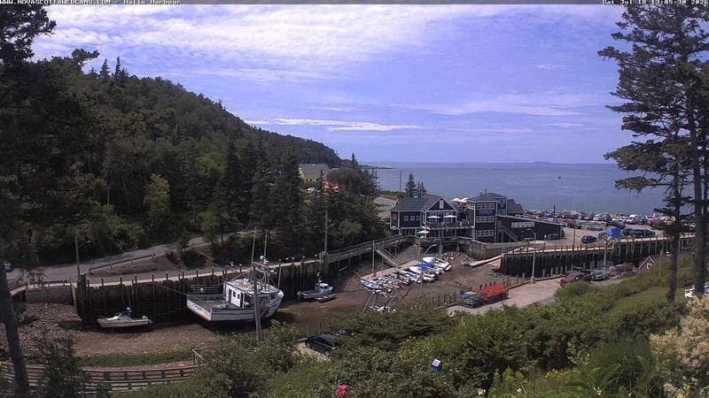 Hall's Harbour