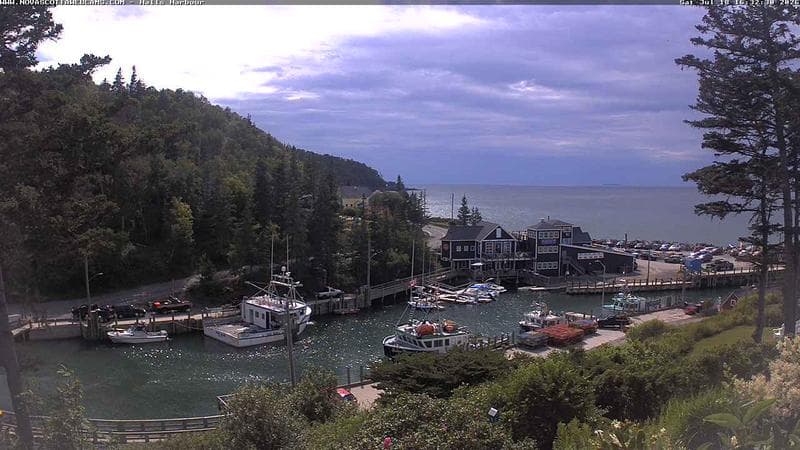 Hall's Harbour