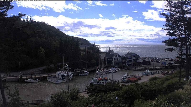 Hall's Harbour