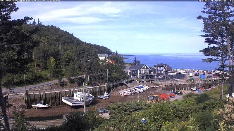 Hall's Harbour