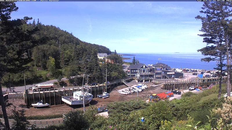 Hall's Harbour
