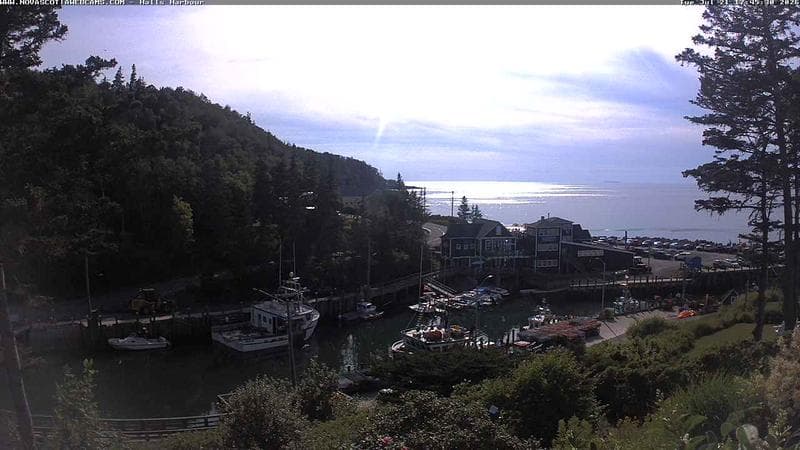 Hall's Harbour