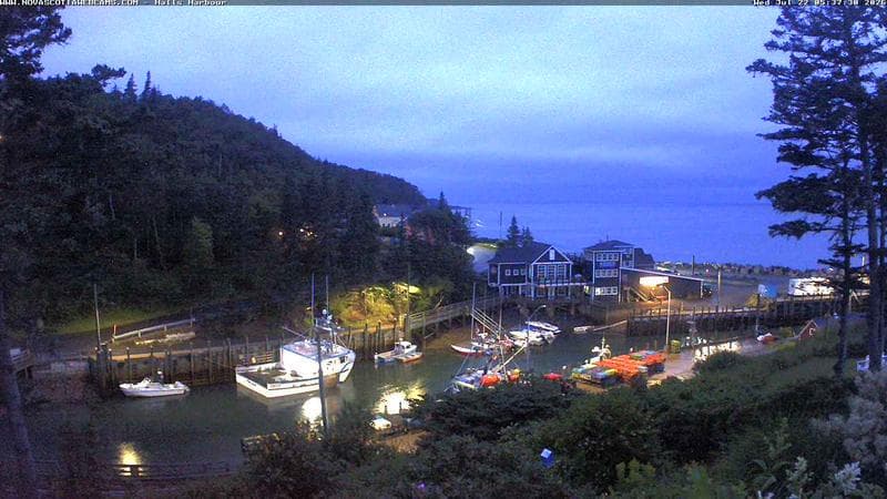 Hall's Harbour