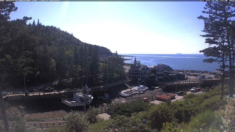 Hall's Harbour