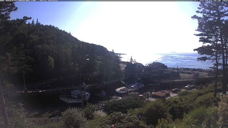 Hall's Harbour