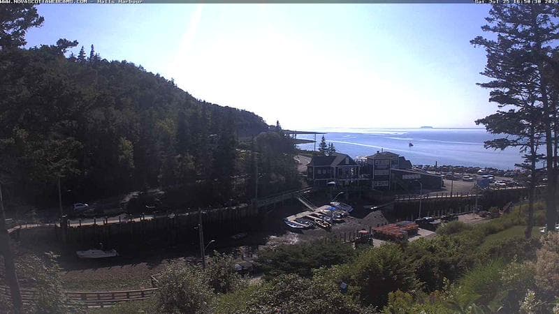 Hall's Harbour