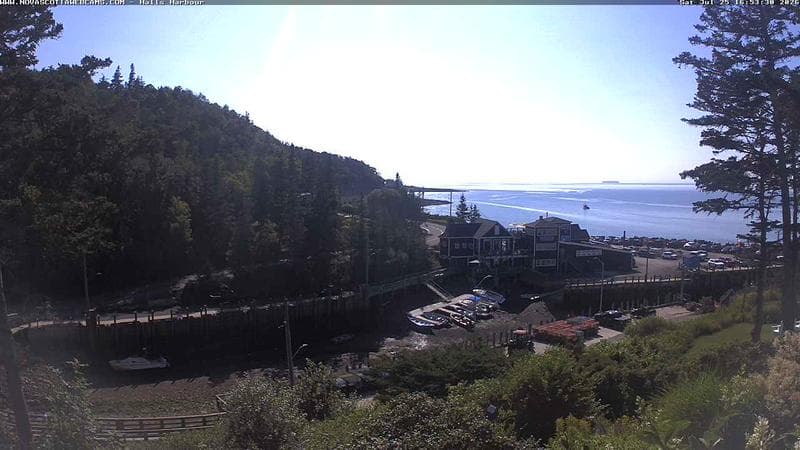 Hall's Harbour