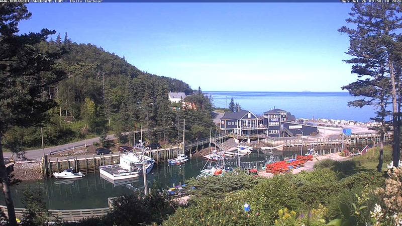 Hall's Harbour