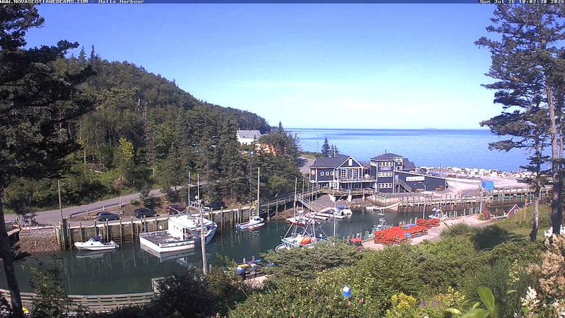 Hall's Harbour