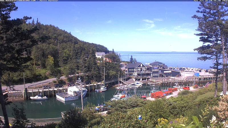 Hall's Harbour
