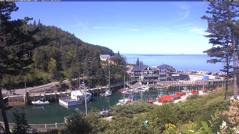 Hall's Harbour