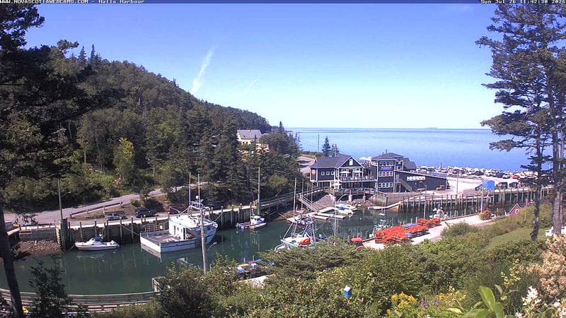 Hall's Harbour