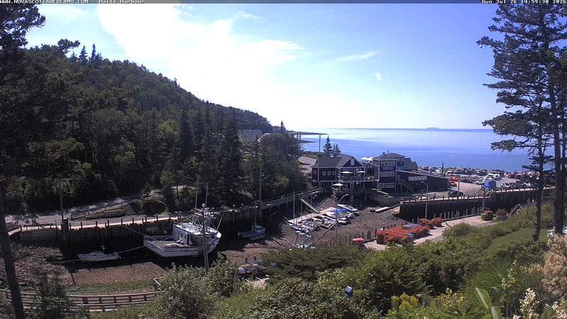 Hall's Harbour