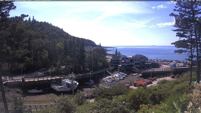 Hall's Harbour