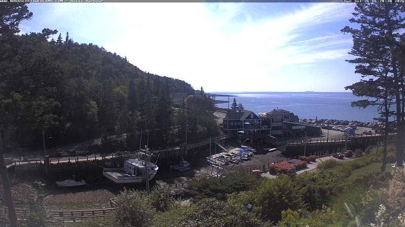 Hall's Harbour