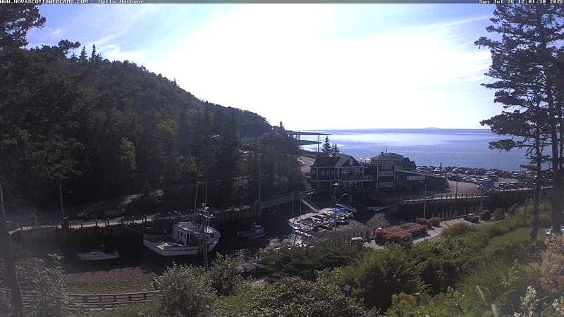 Hall's Harbour