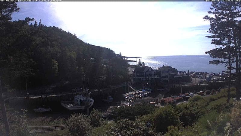 Hall's Harbour