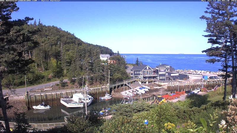 Hall's Harbour