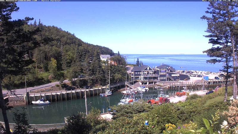 Hall's Harbour