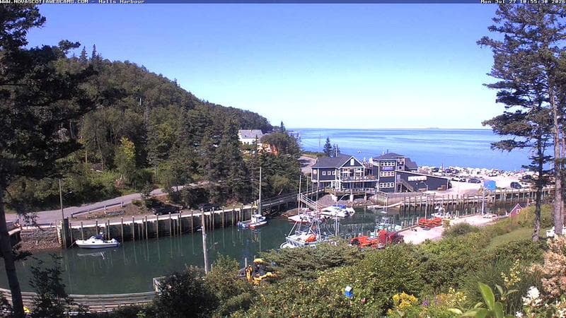 Hall's Harbour